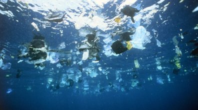 Mudango y el desafío cero plástico en las mudanzas