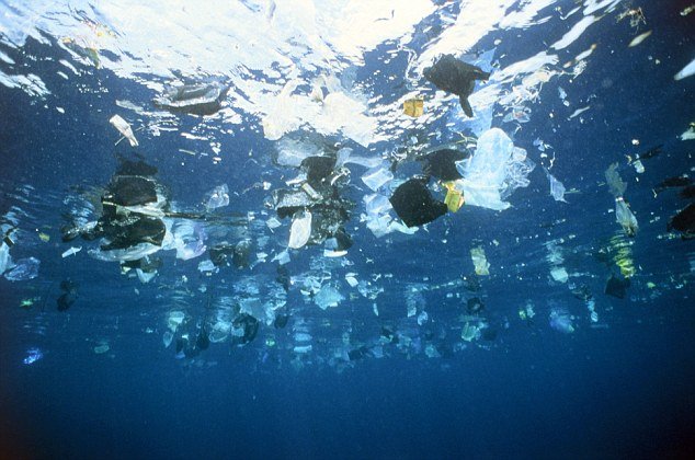 Mudango y el desafío cero plástico en las mudanzas