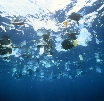 Mudango y el desafío cero plástico en las mudanzas