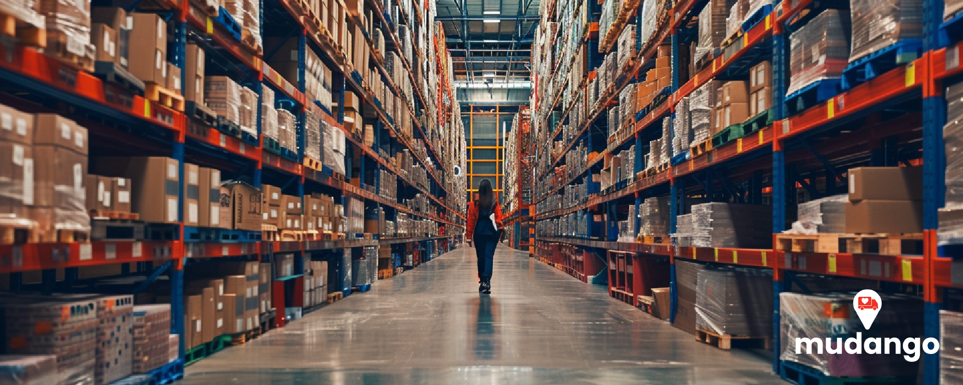 Ahorra Espacio y Dinero con el Almacenaje Personalizado de Mudango