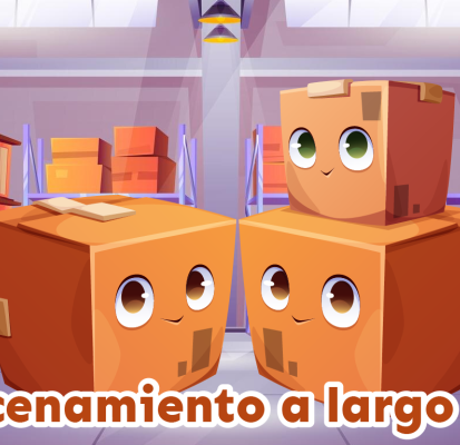 Almacenamiento a largo plazo: Consejos para mantener tus pertenencias en una mini bodega de manera segura y organizada