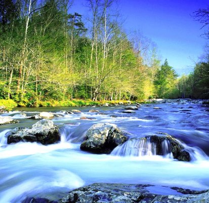 El real costo del agua envasada