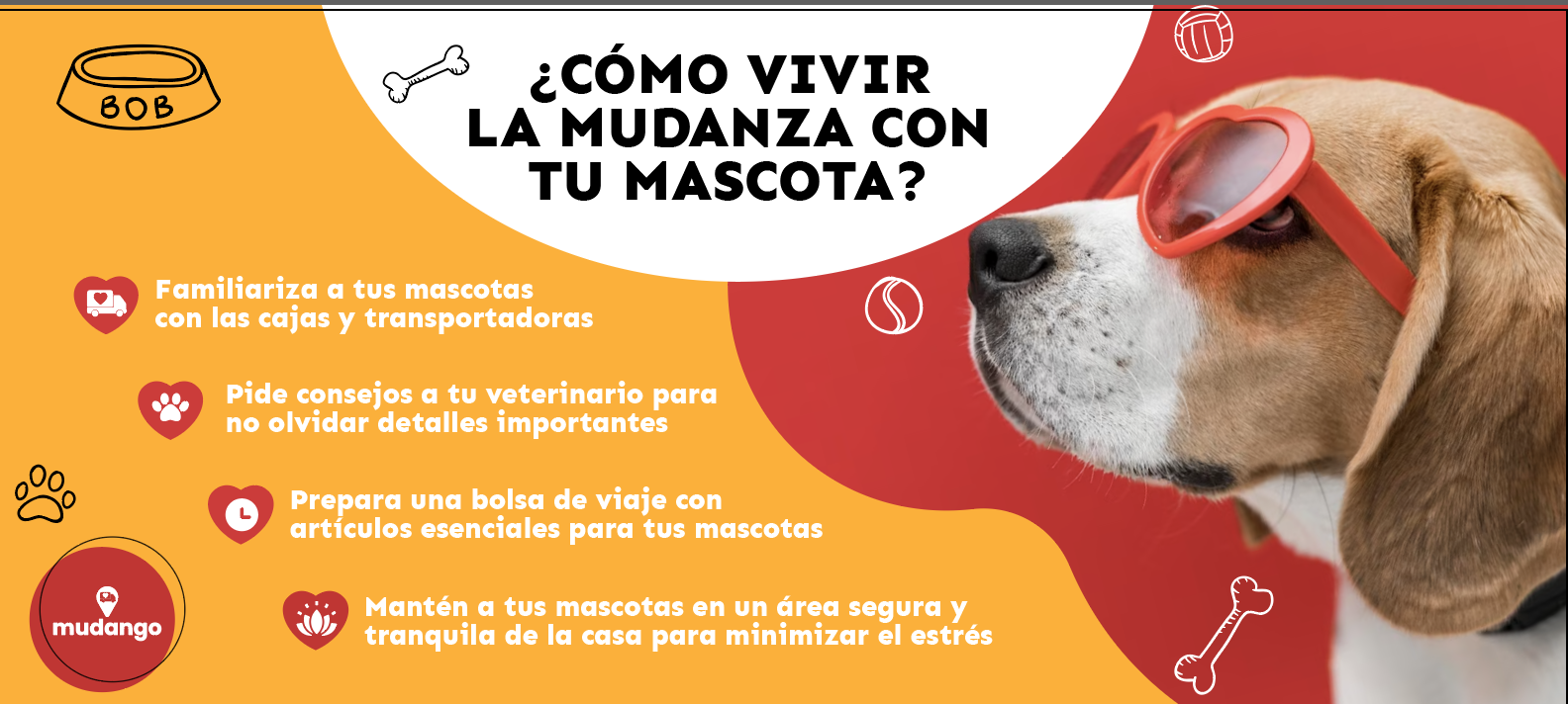 Infografía Mascotas Mudanzas