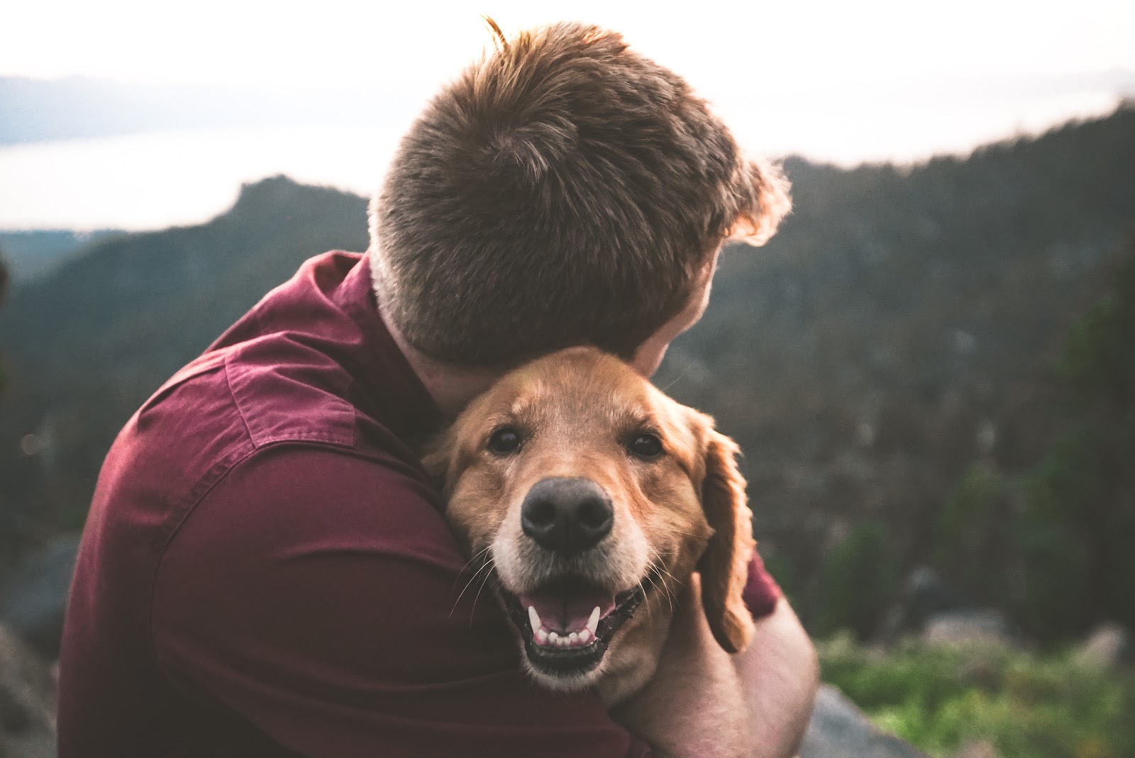 Una persona abrazando a su perro